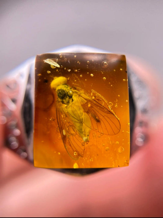 Baltic amber ring with inclusion of bug