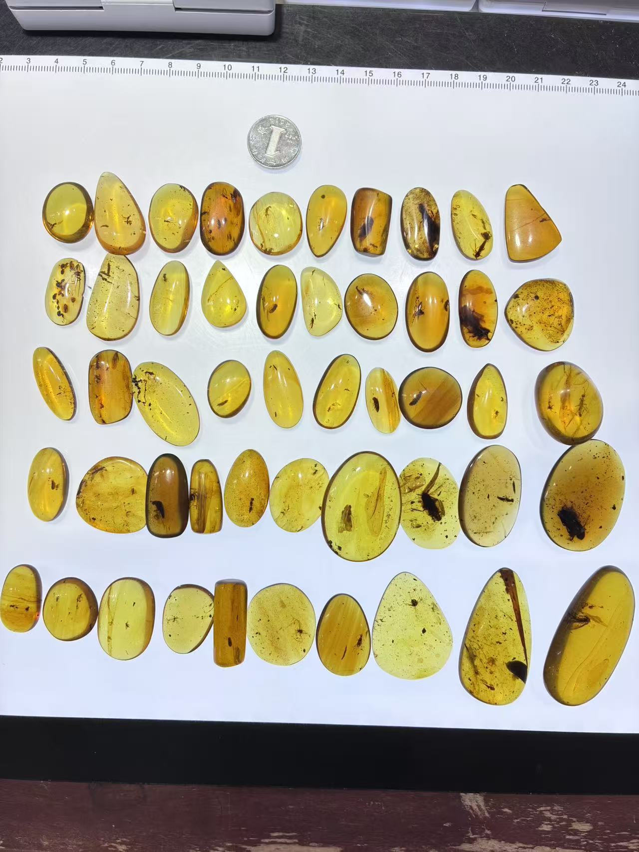Natural Burmese amber with bug inclusion 50 pieces wholesale lot