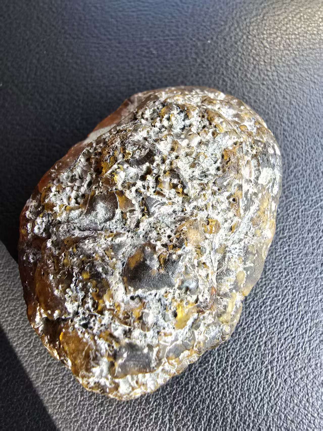 Burmese amber(burmite) with unidentified botanical inclusion