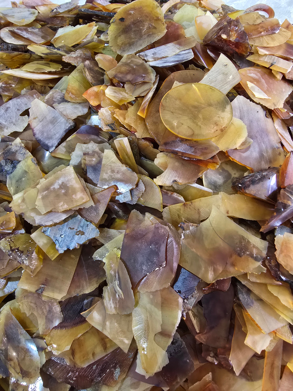 Bulk Raw Amber Fragments – Loose Natural Gemstone Flakes for Artisans A1009