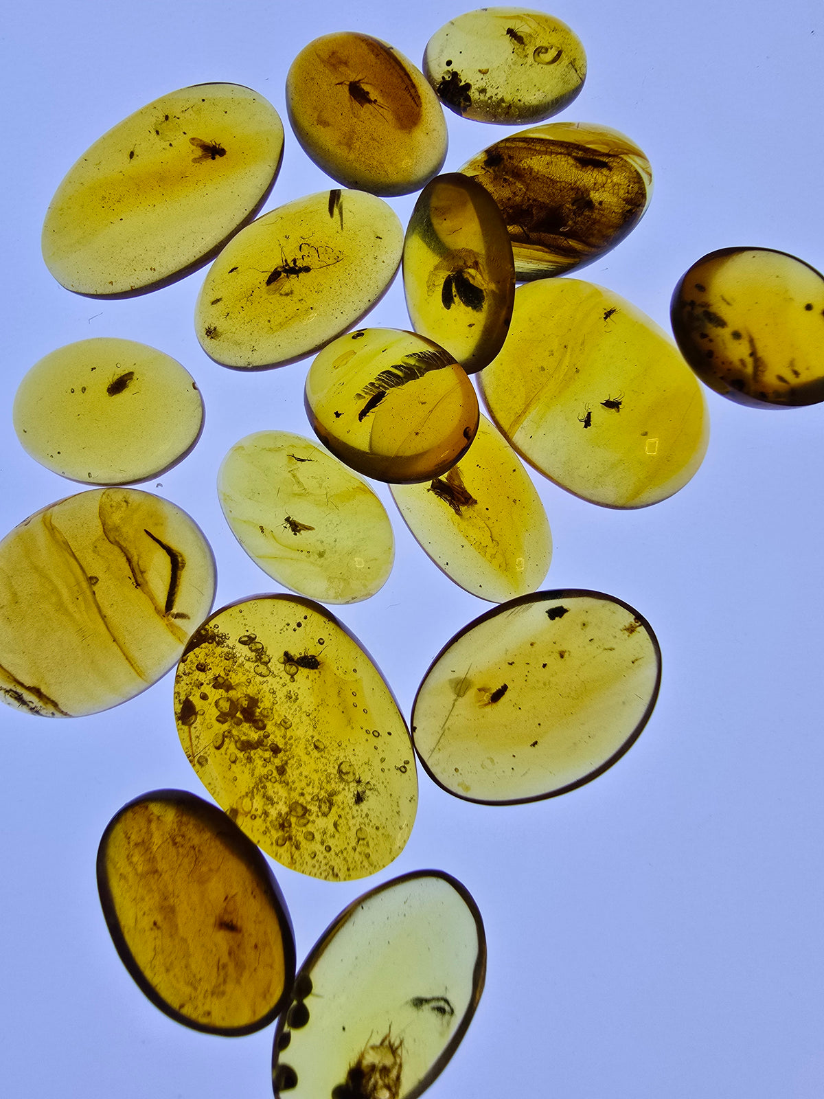 Wholesale Burmese Amber With Bugs Inclusions 40 pieces H6102303