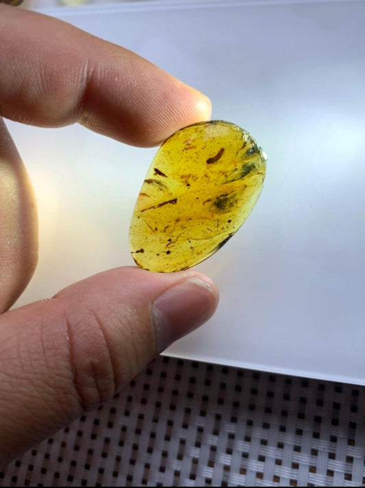 Burmese amber with inclusion of bug of millipede