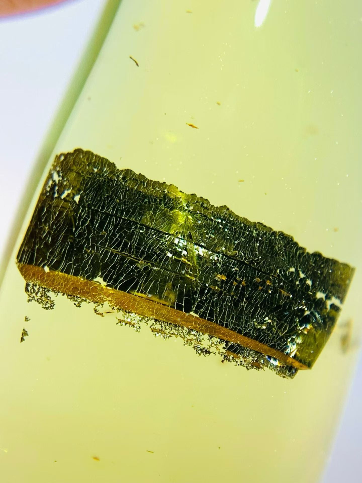 Unidentified(metal) mineral included in Burmese amber(burmite)-Rare to be found #1004