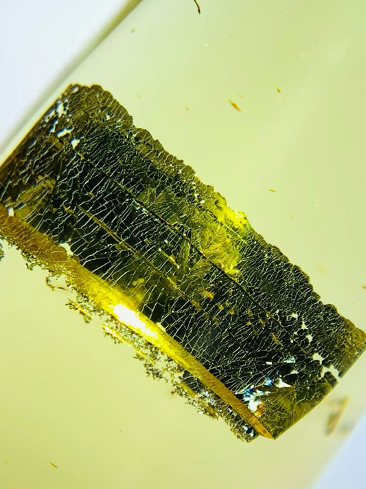 Unidentified(metal) mineral included in Burmese amber(burmite)-Rare to be found #1004