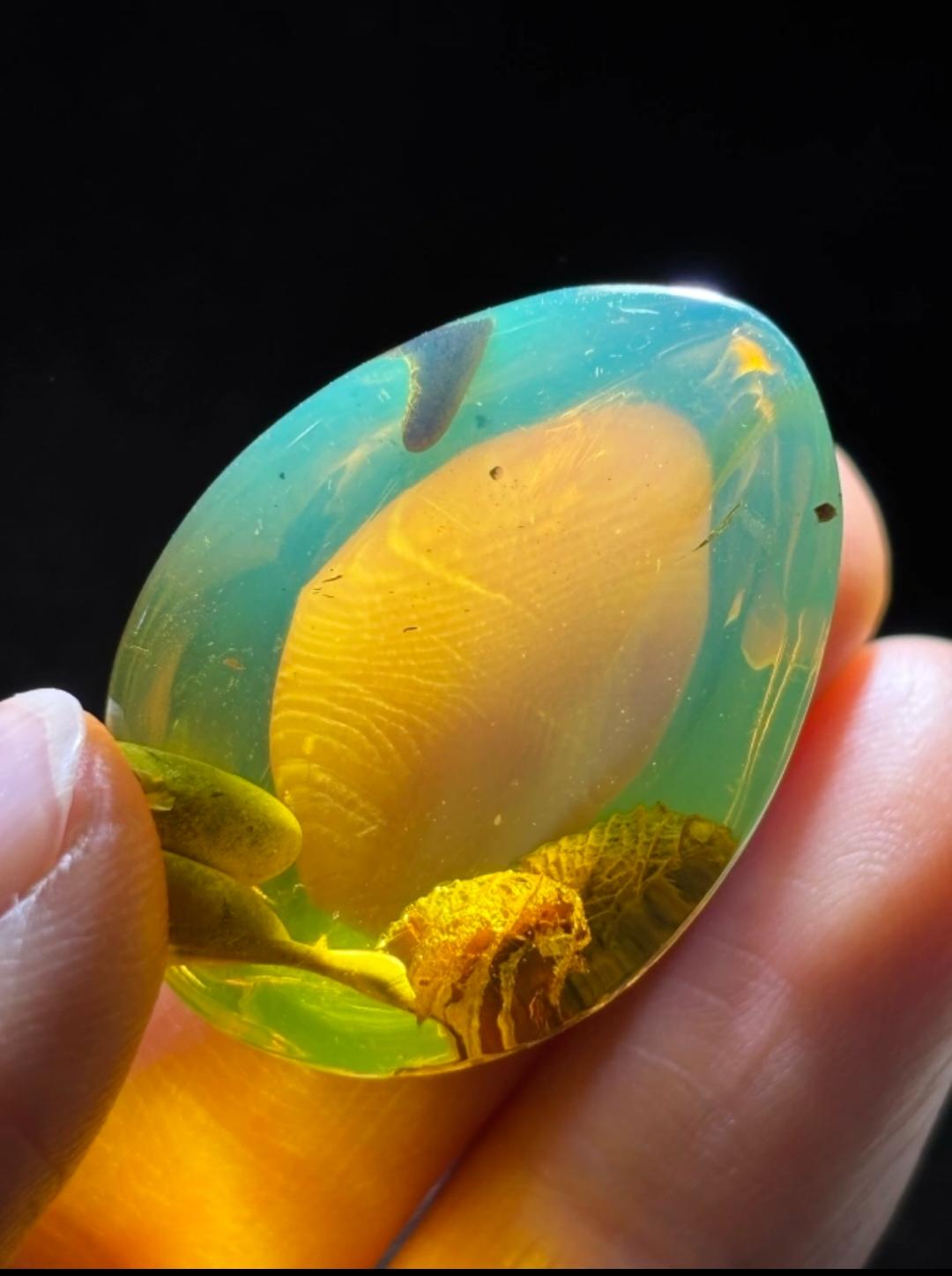 Burmese amber with inclusion of unknow species