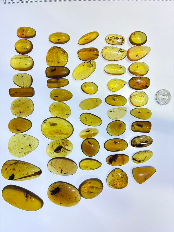 Natural Burmese amber with bug inclusion 50 pieces wholesale lot