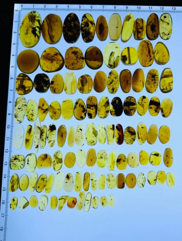Burmese amber with fossil of bugs wholesale lot 100 pieces