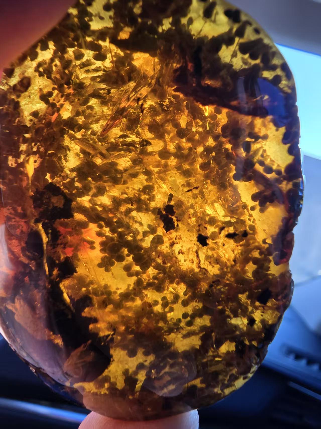 Burmese amber(burmite) with unidentified botanical inclusion