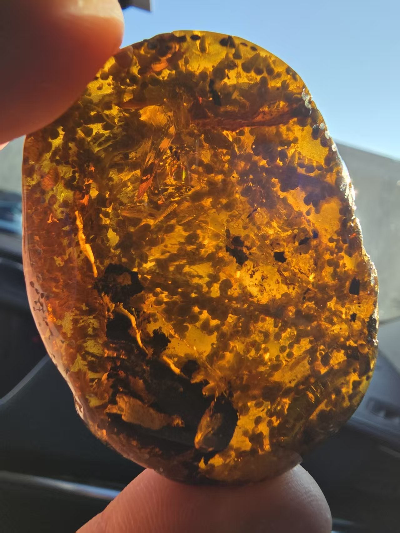 Burmese amber(burmite) with unidentified botanical inclusion
