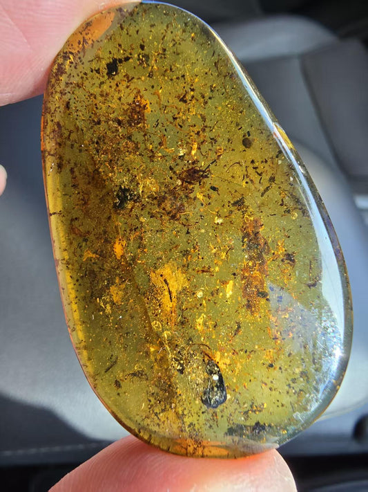Leaf inclusion inside of Burmese amber(burmite)