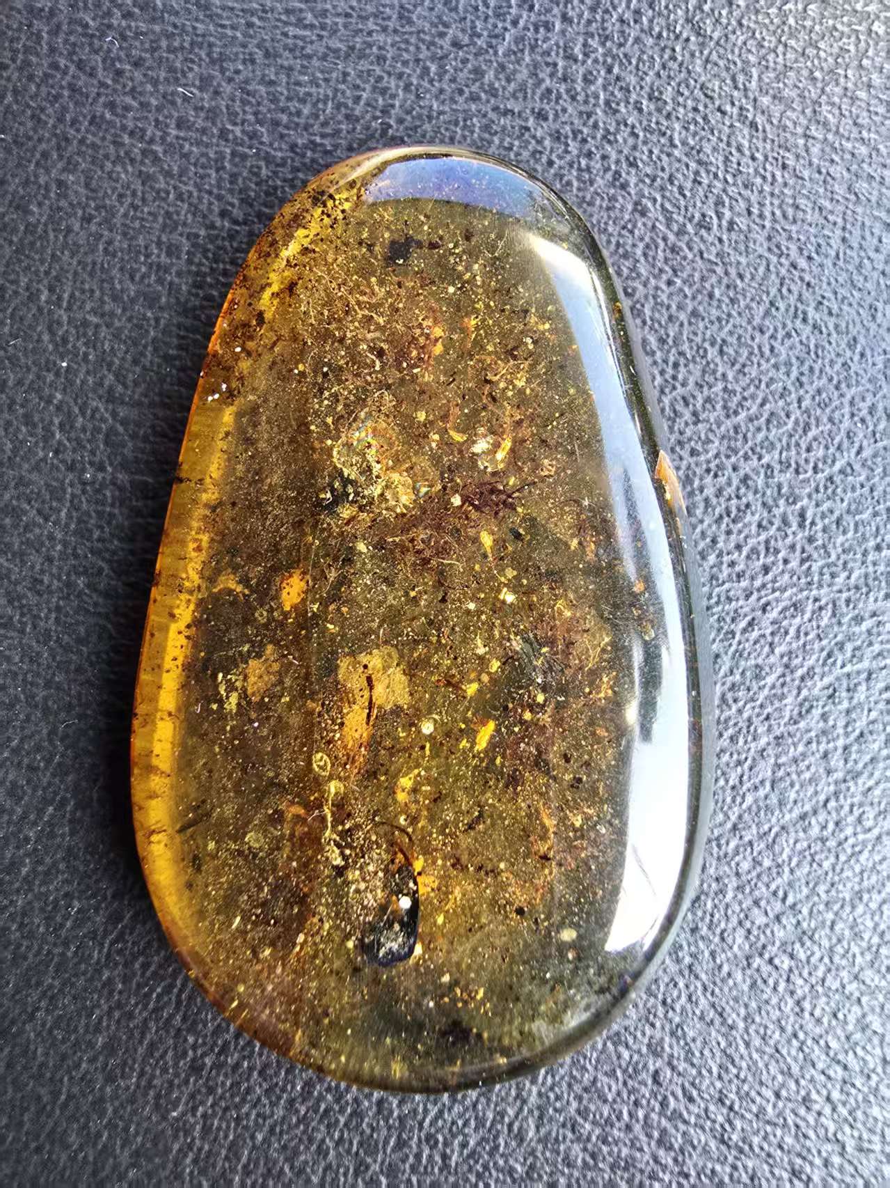 Leaf inclusion inside of Burmese amber(burmite)