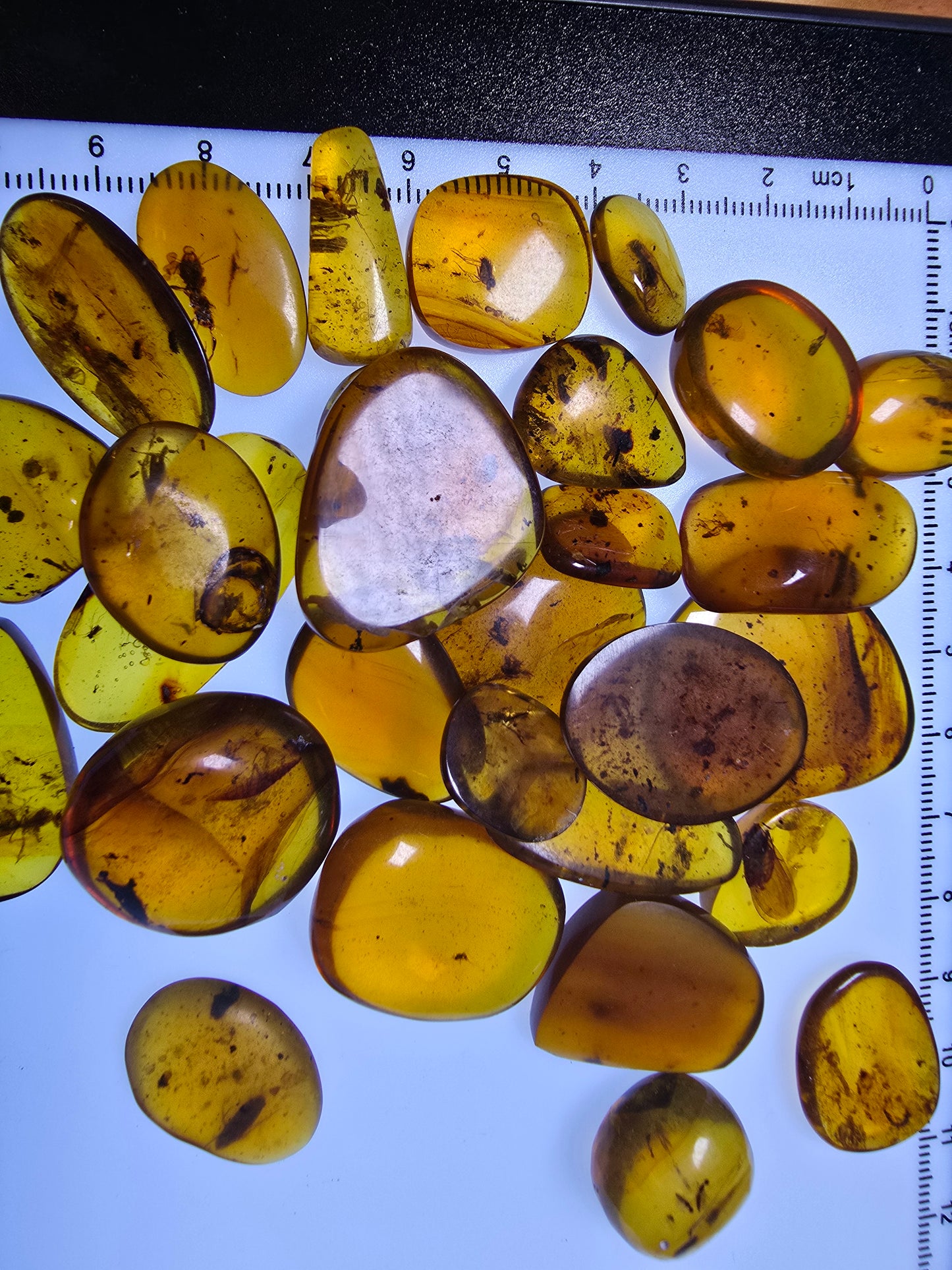 Wholesale lot Burmese amber(burmite) with bugs inclusion A1005