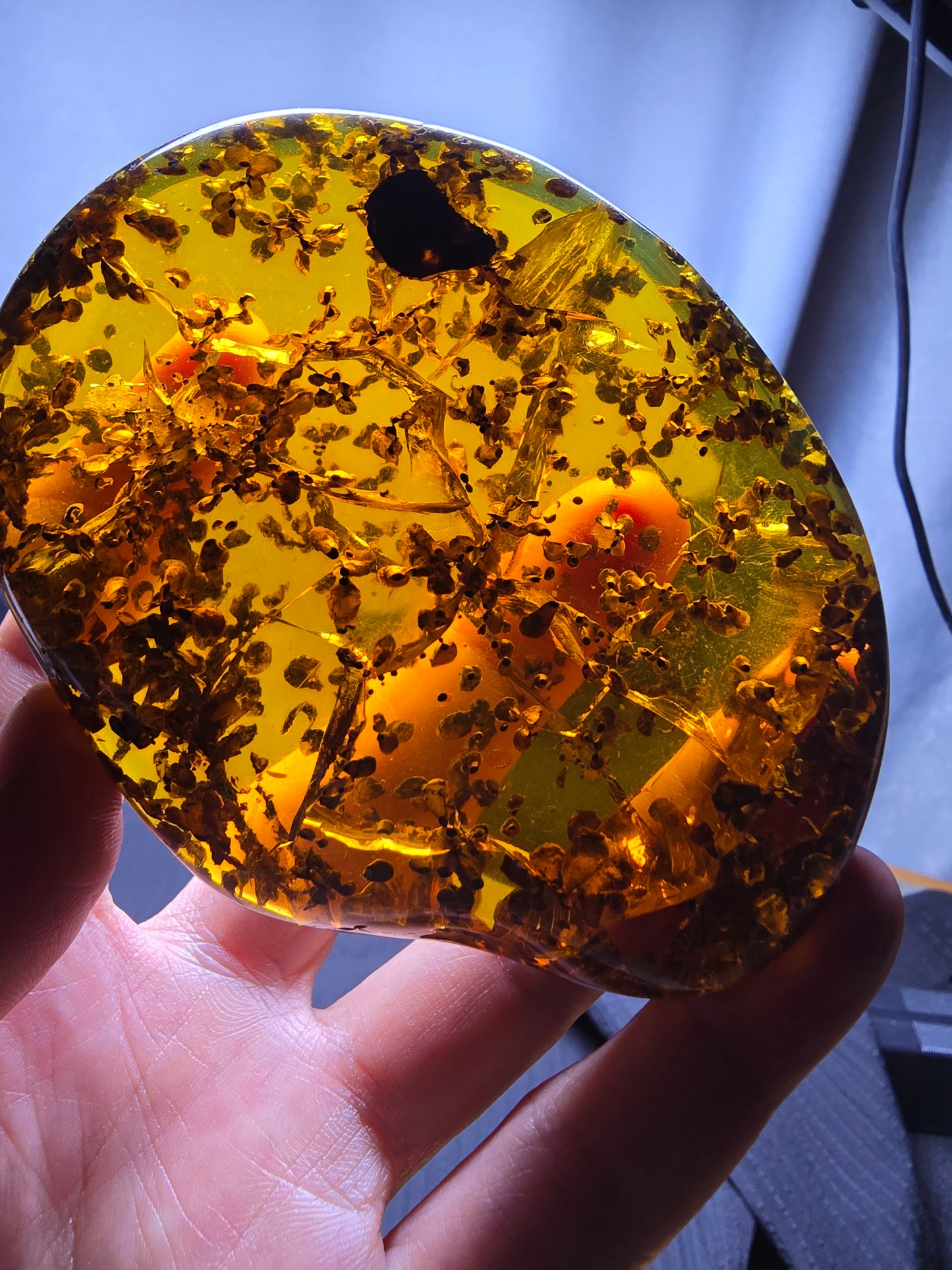 Burmese amber(burmite) with spore plant inclusion A1006