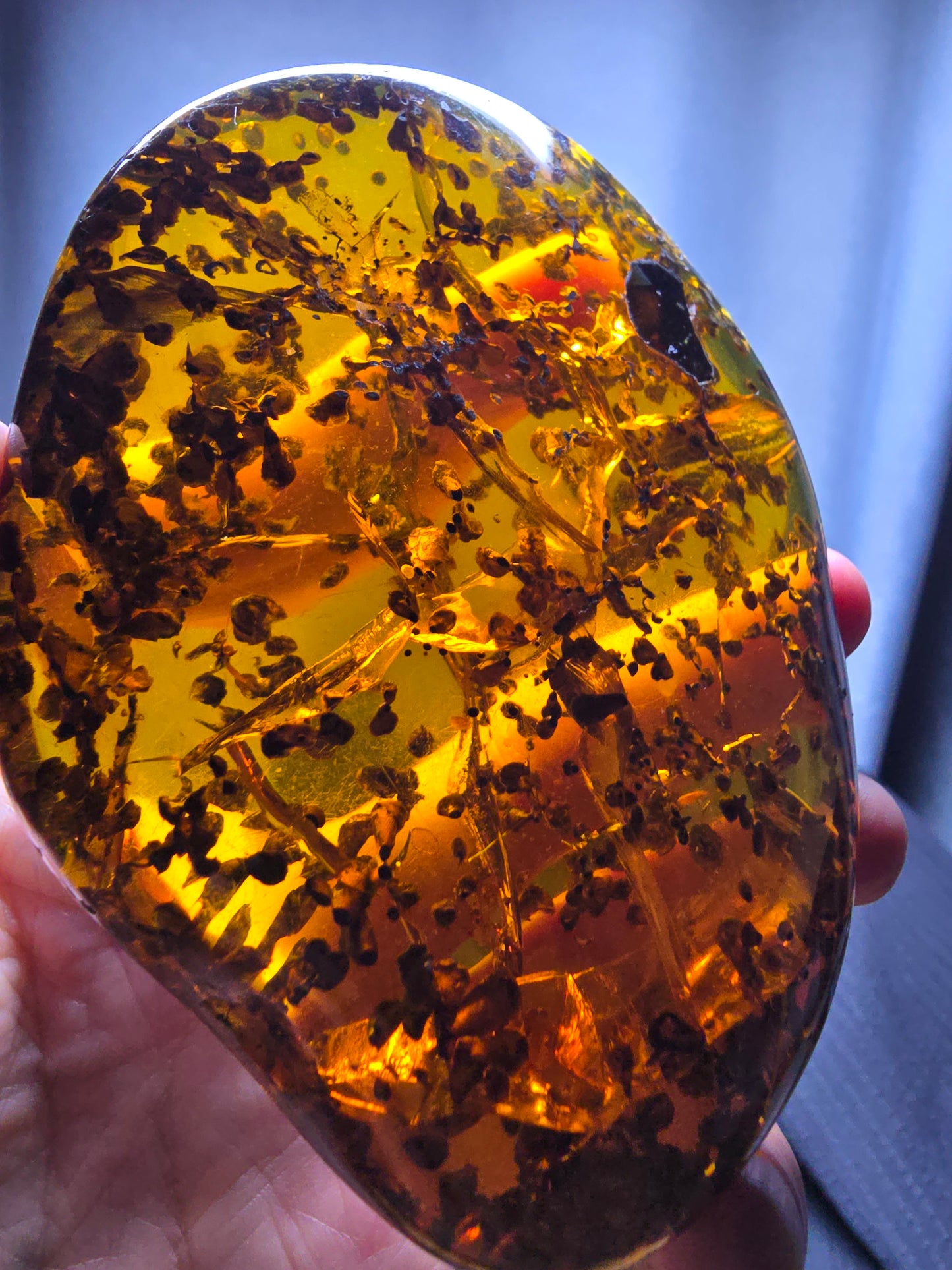 Burmese amber(burmite) with spore plant inclusion A1006