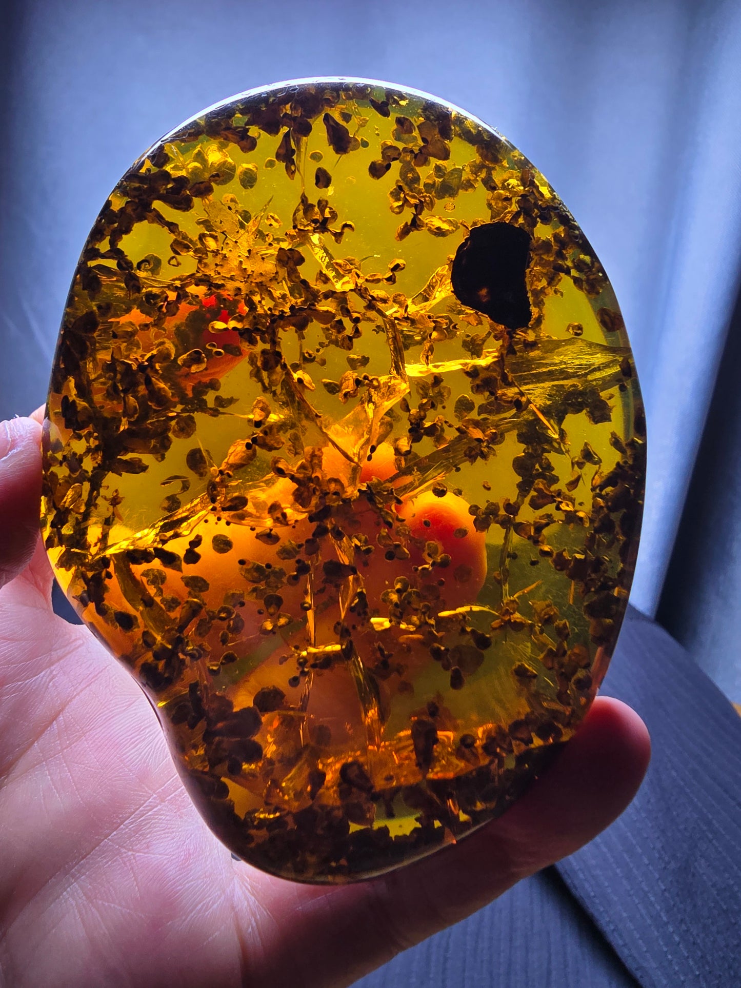 Burmese amber(burmite) with spore plant inclusion A1006
