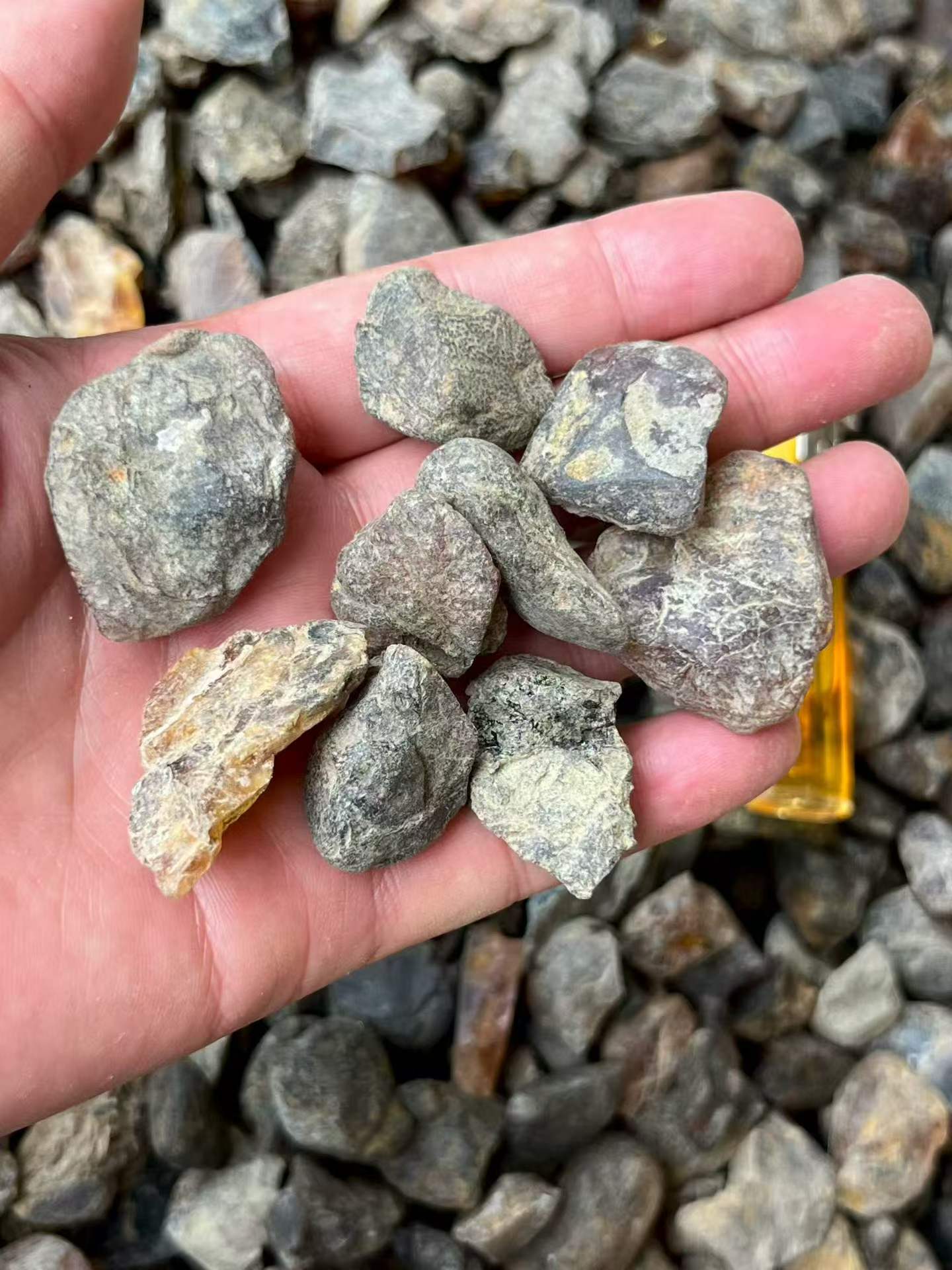 Raw Burmese amber(burmite) Stones A1007