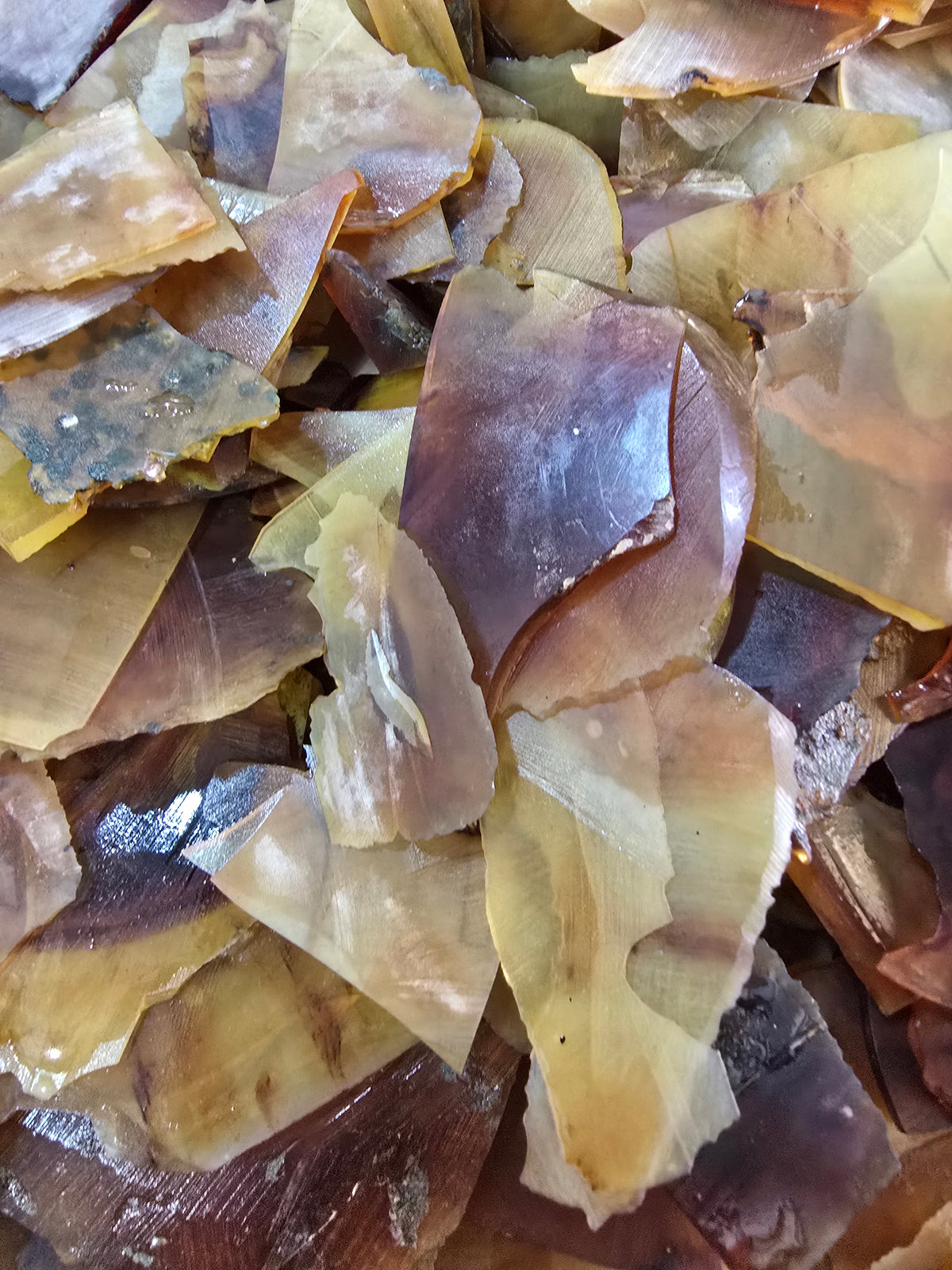 Bulk Raw Amber Fragments – Loose Natural Gemstone Flakes for Artisans A1009
