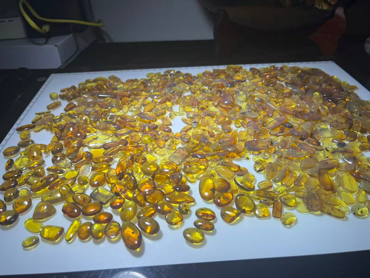 Wholesale Burmese Amber With Bugs Inclusions 1050 pieces H11