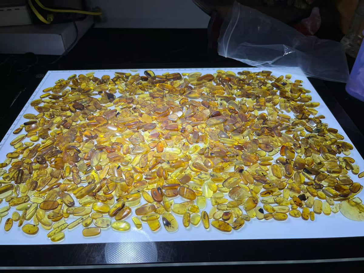 Wholesale Burmese Amber With Bugs Inclusions 1400 pieces H12