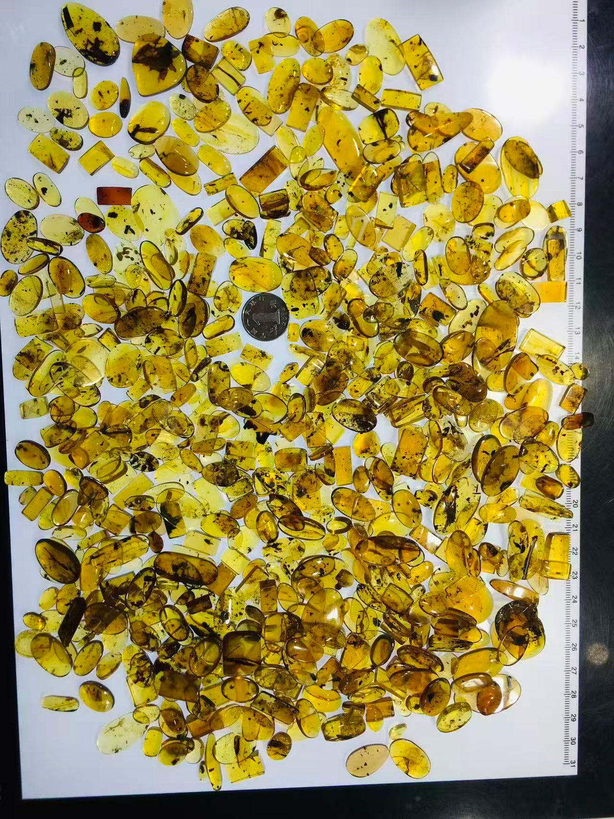 Wholesale Burmese Amber With Bugs Inclusions 700 pieces H13
