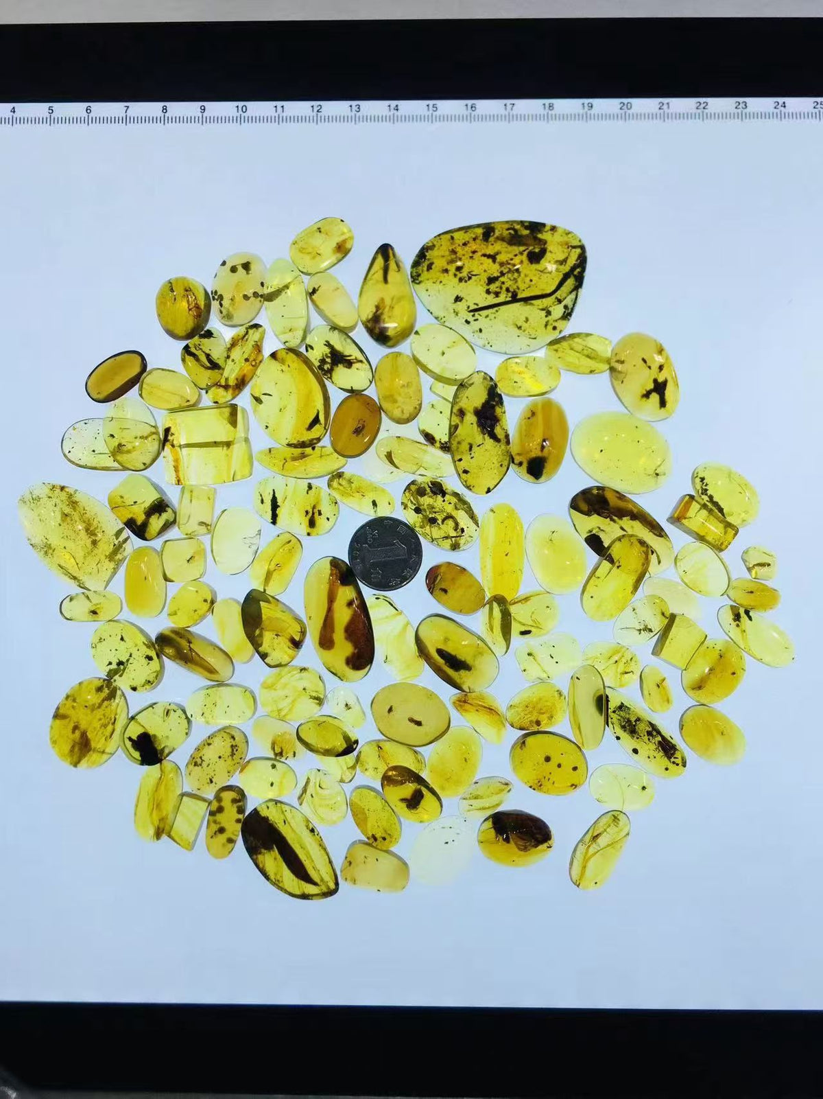 Wholesale Burmese Amber With Bugs Inclusions 100 pieces H14