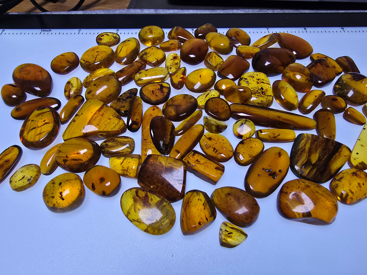 Wholesale Burmese Amber With Bugs Inclusions 82 pieces H6102301