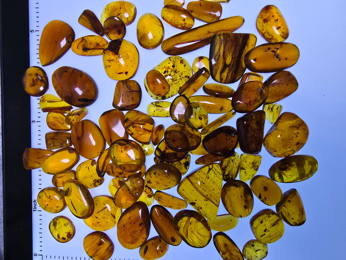 Wholesale Burmese Amber With Bugs Inclusions 82 pieces H6102301