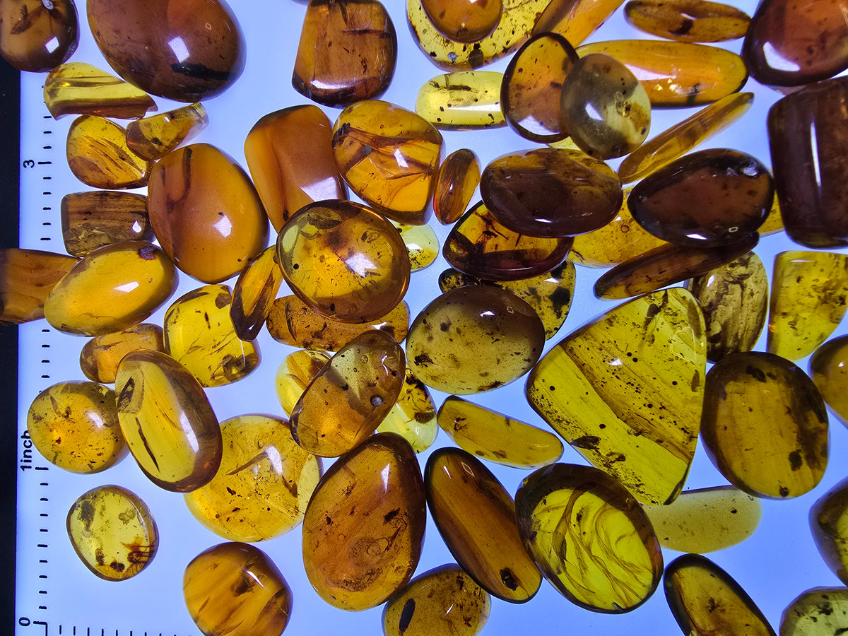 Wholesale Burmese Amber With Bugs Inclusions 82 pieces H6102301
