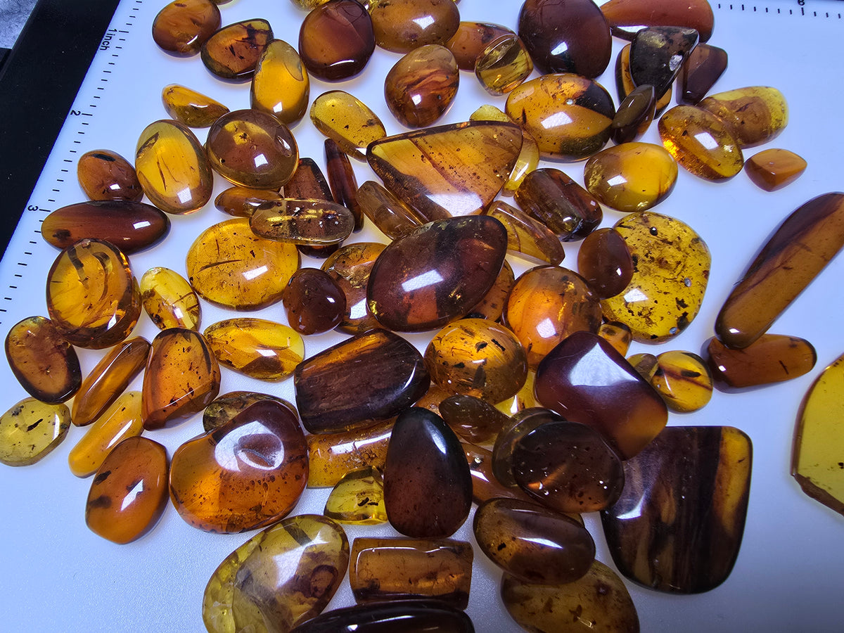 Wholesale Burmese Amber With Bugs Inclusions 82 pieces H6102301