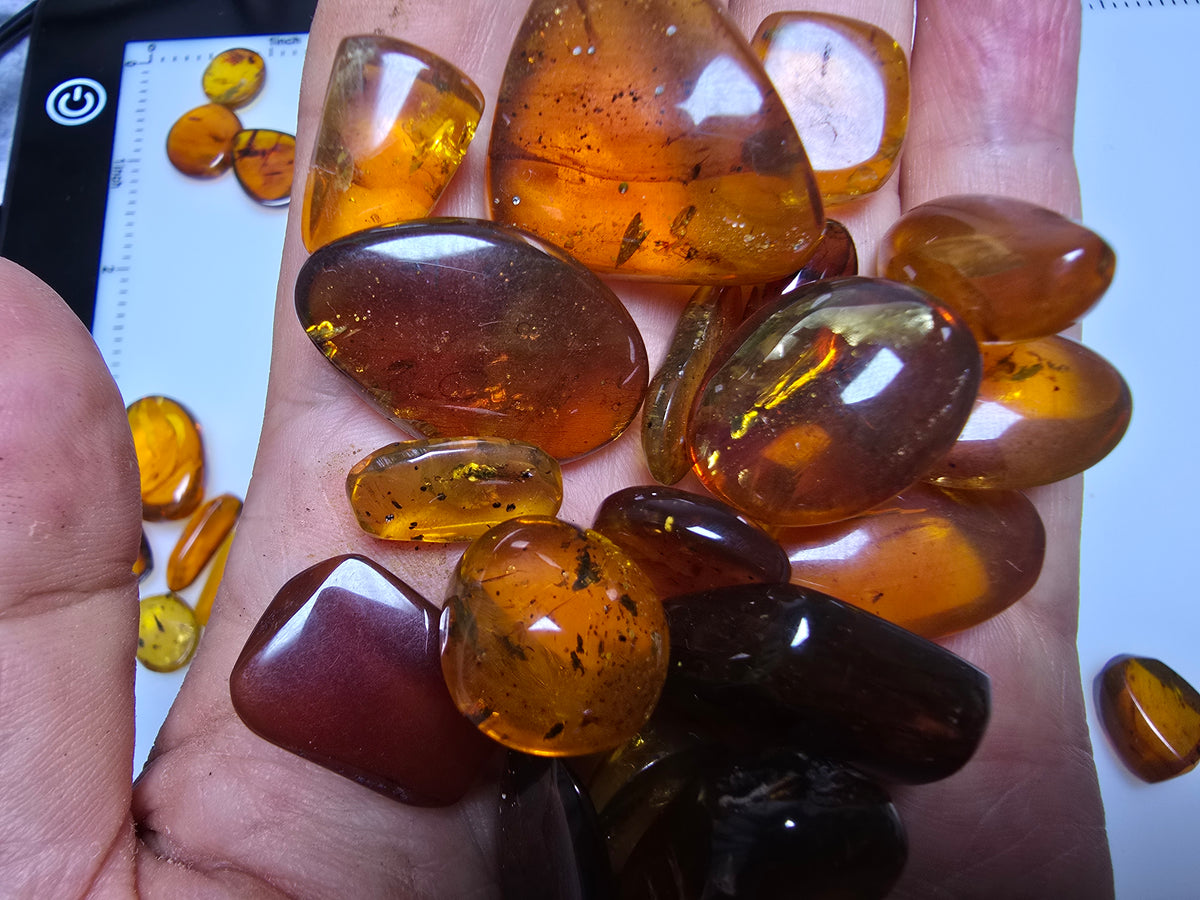 Wholesale Burmese Amber With Bugs Inclusions 82 pieces H6102301