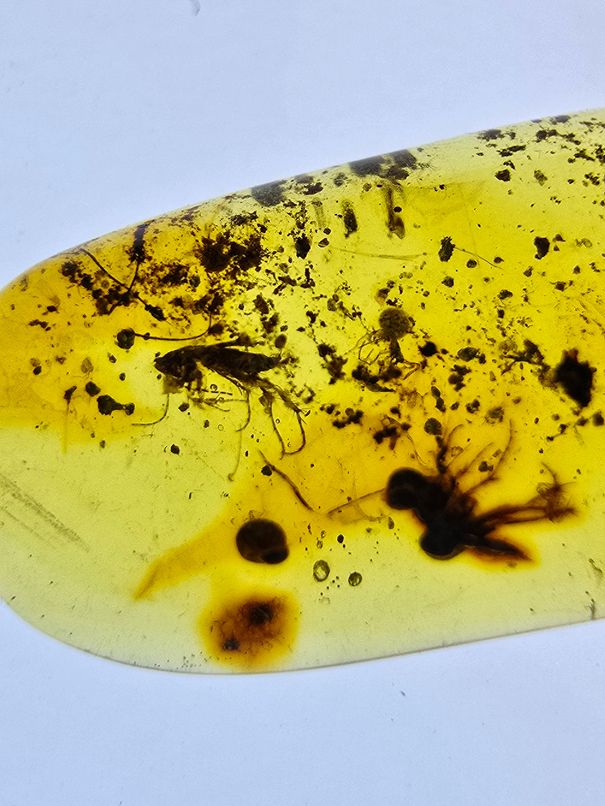 Wholesale Burmese Amber With Bugs Inclusions 82 pieces H6102301