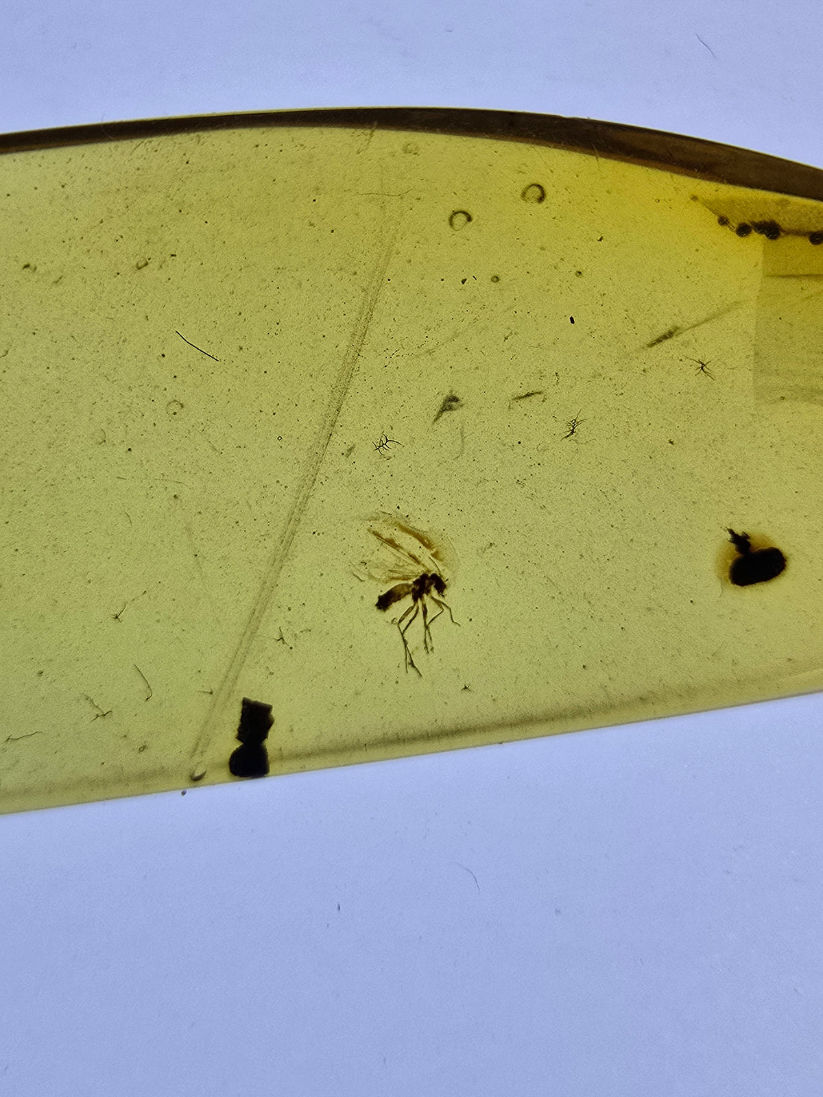 Wholesale Burmese Amber With Bugs Inclusions 82 pieces H6102301