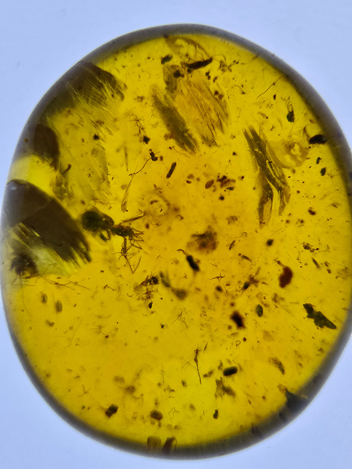 Wholesale Burmese Amber With Bugs Inclusions 82 pieces H6102301
