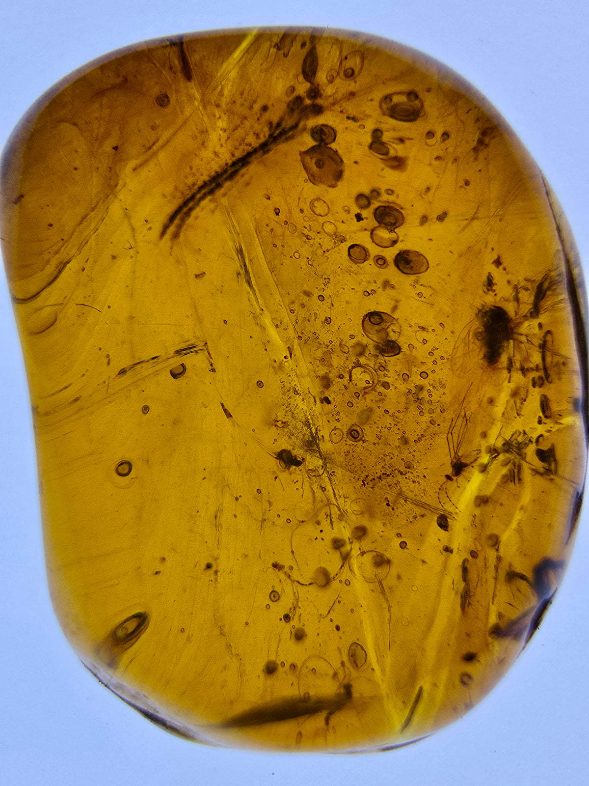 Wholesale Burmese Amber With Bugs Inclusions 82 pieces H6102301