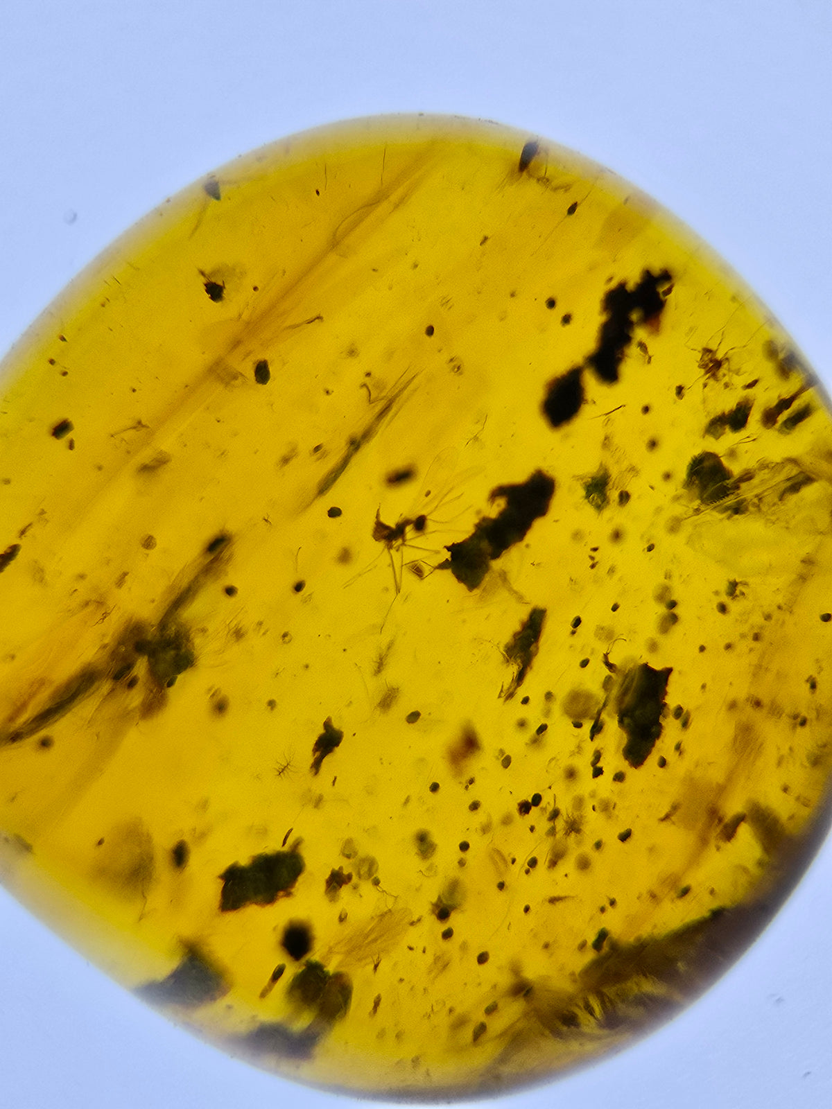 Wholesale Burmese Amber With Bugs Inclusions 82 pieces H6102301