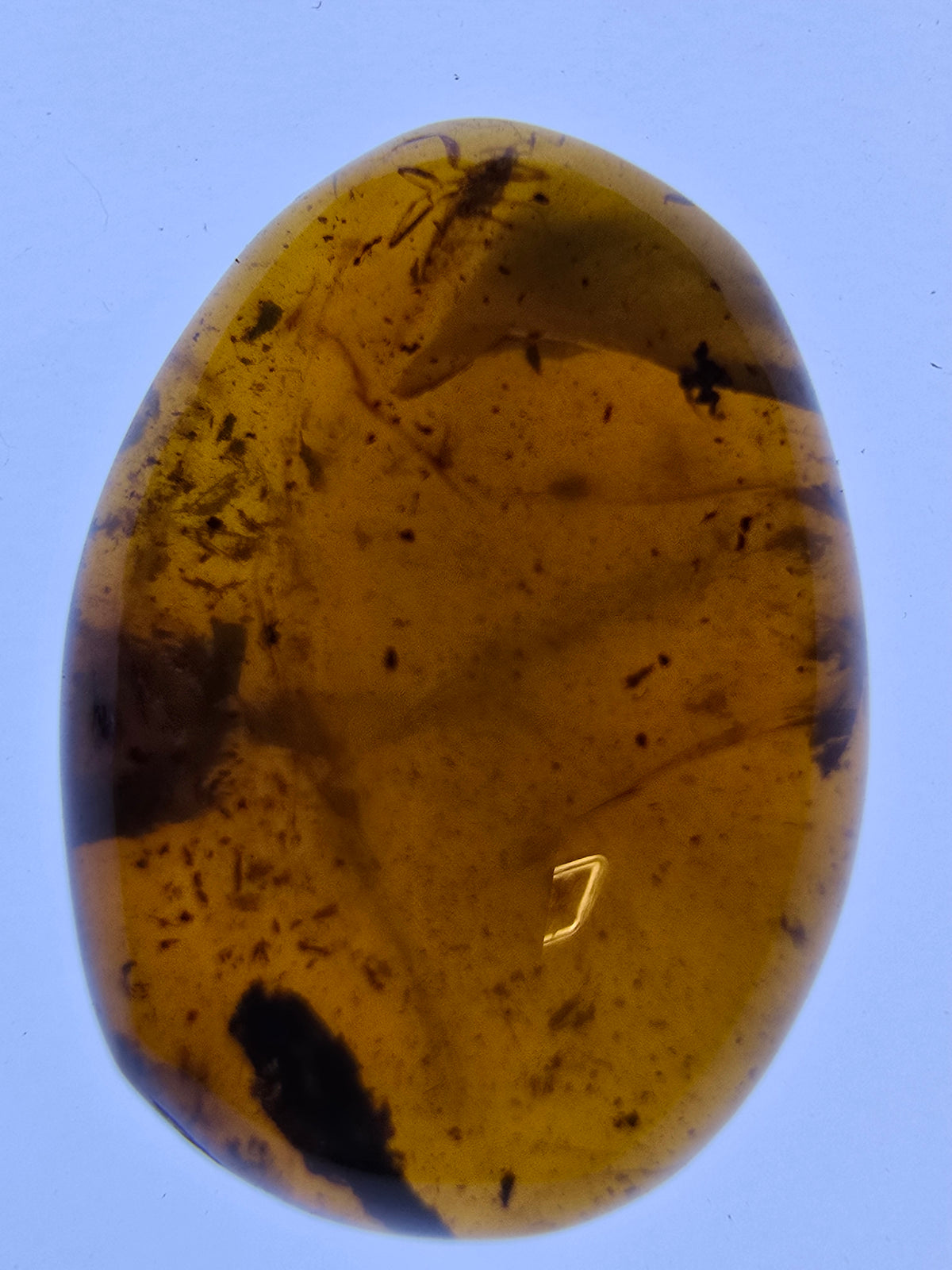 Wholesale Burmese Amber With Bugs Inclusions 82 pieces H6102301