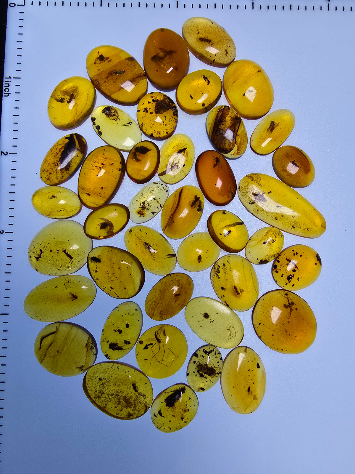 Wholesale Burmese Amber With Bugs Inclusions 40 pieces H6102303