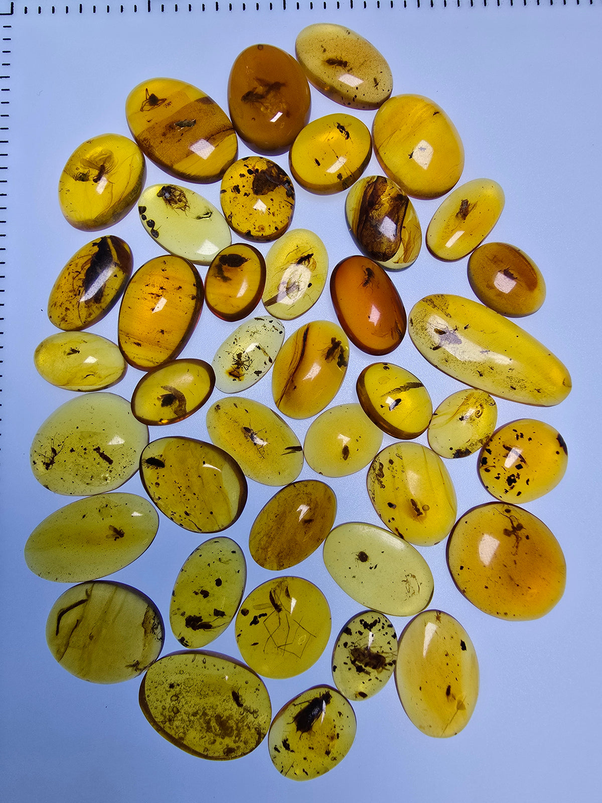 Wholesale Burmese Amber With Bugs Inclusions 40 pieces H6102303