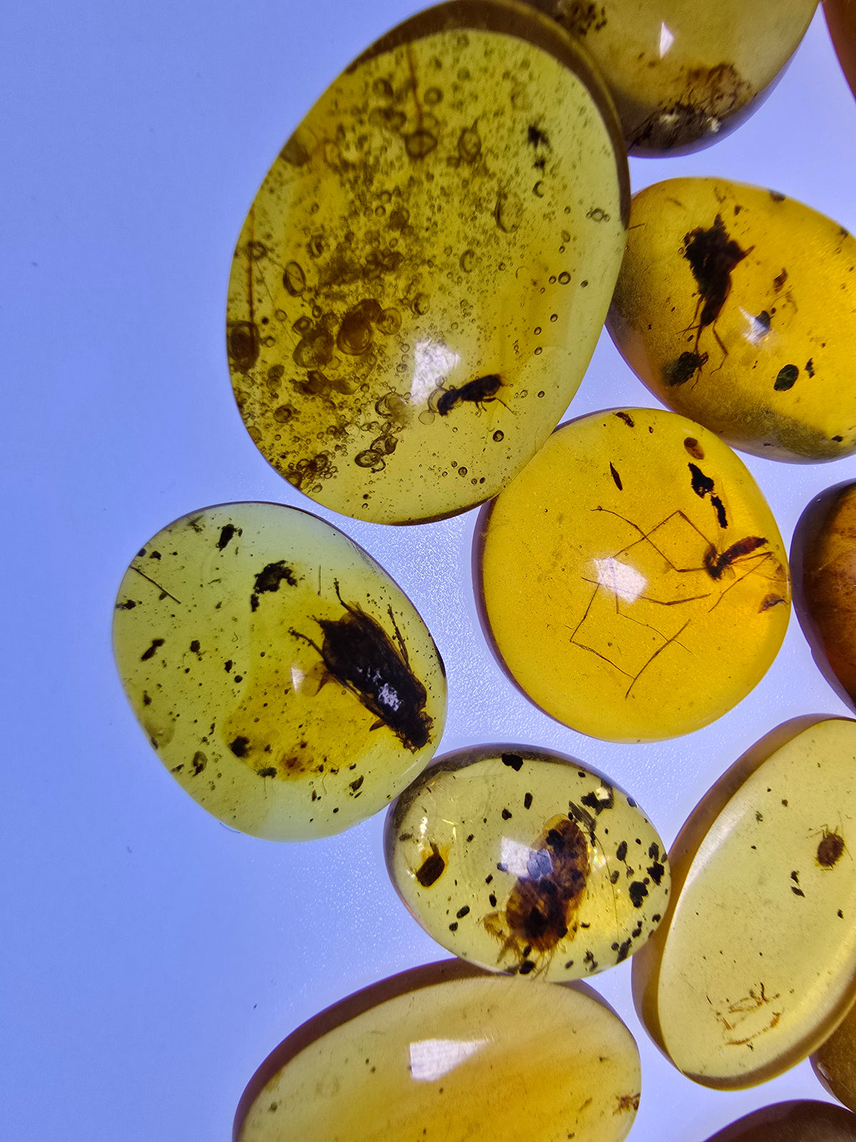 Wholesale Burmese Amber With Bugs Inclusions 40 pieces H6102303