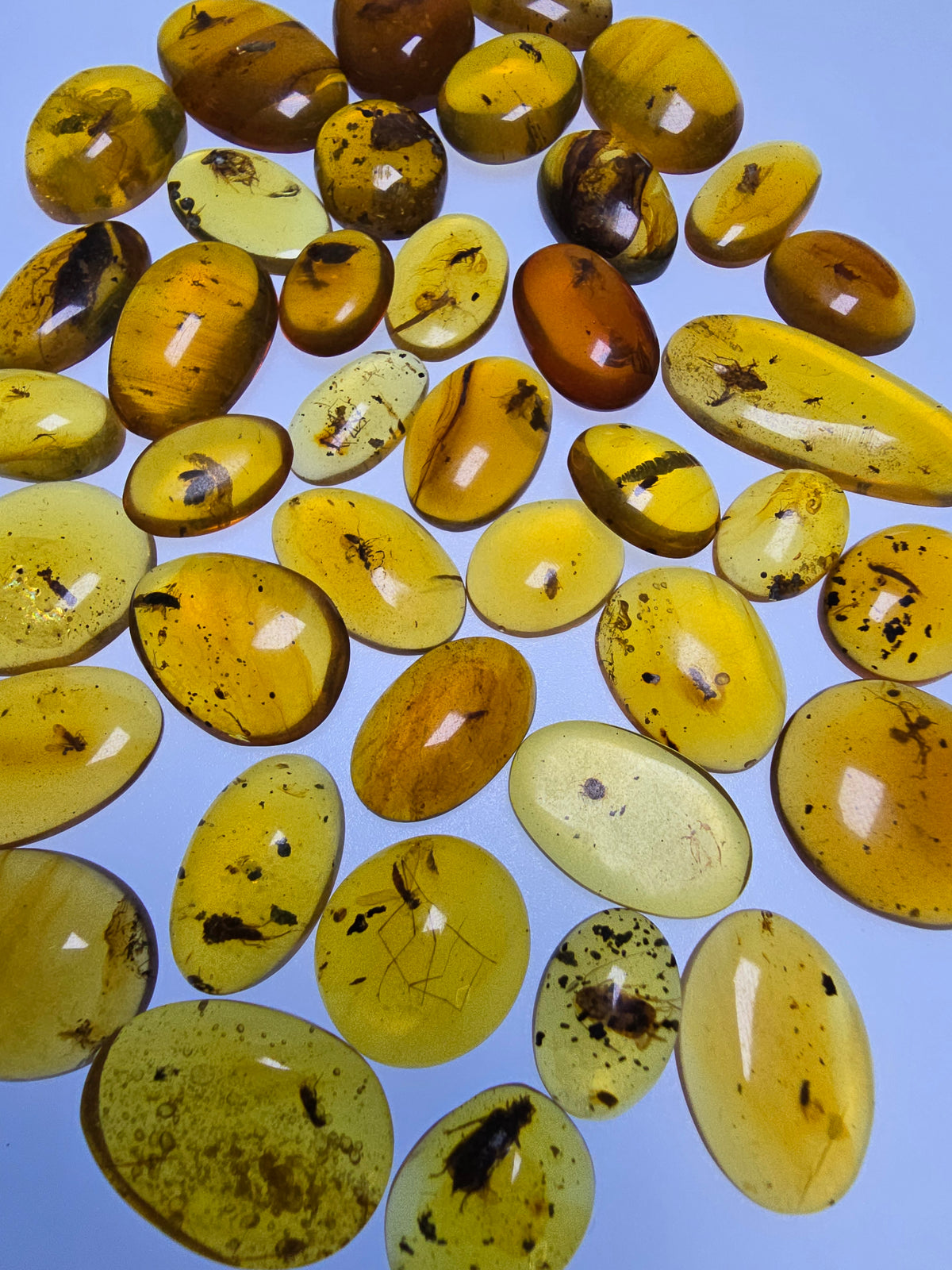 Wholesale Burmese Amber With Bugs Inclusions 40 pieces H6102303