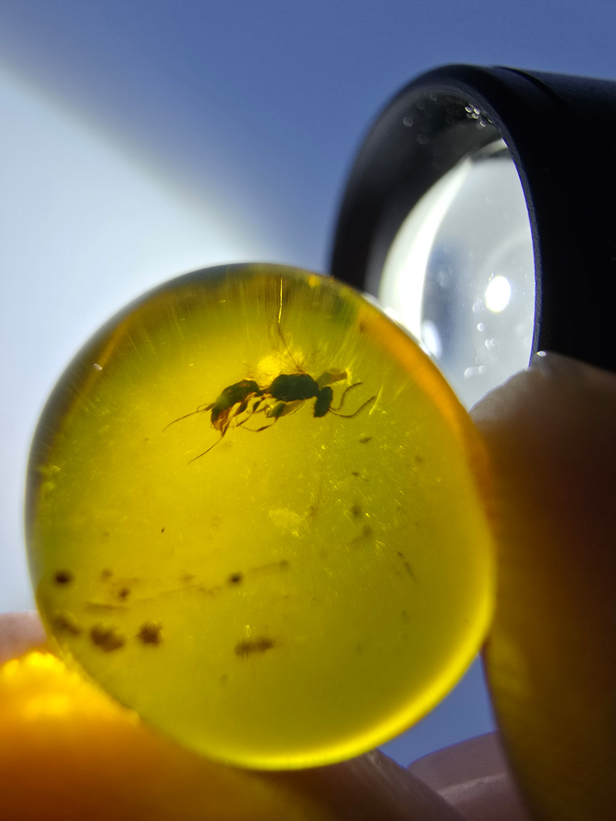 Wholesale Burmese Amber With Bugs Inclusions 40 pieces H6102303