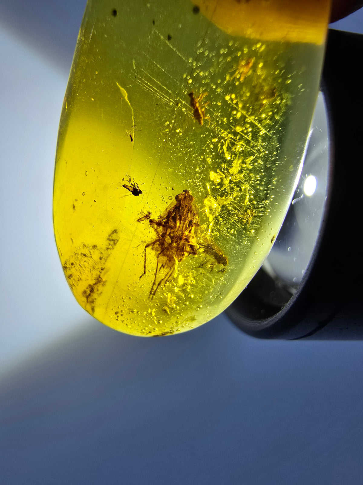 Wholesale Burmese Amber With Bugs Inclusions 40 pieces H6102303
