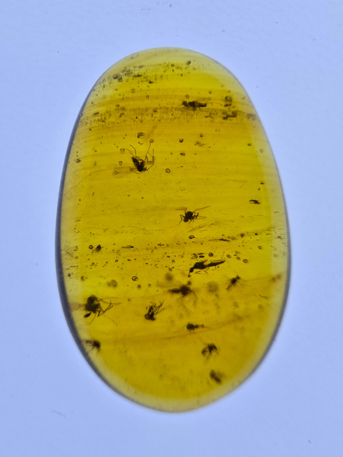 Wholesale Burmese Amber With Bugs Inclusions 40 pieces H6102303