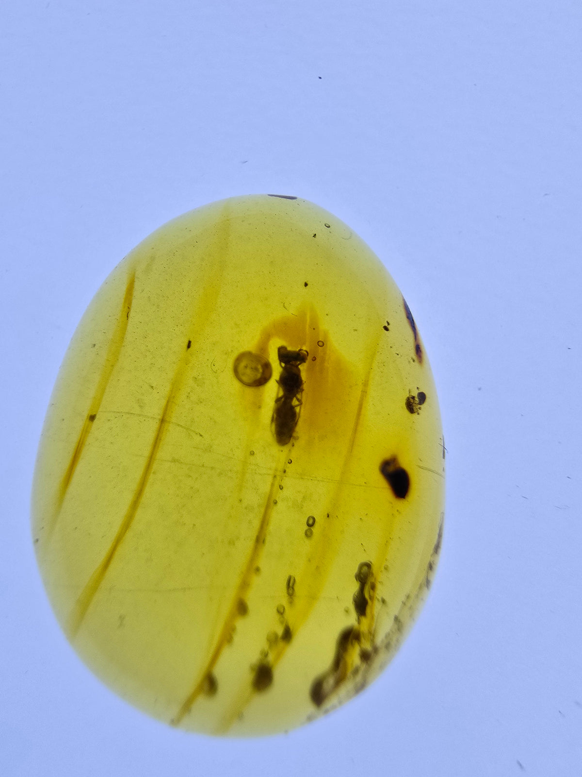 Wholesale Burmese Amber With Bugs Inclusions 40 pieces H6102303