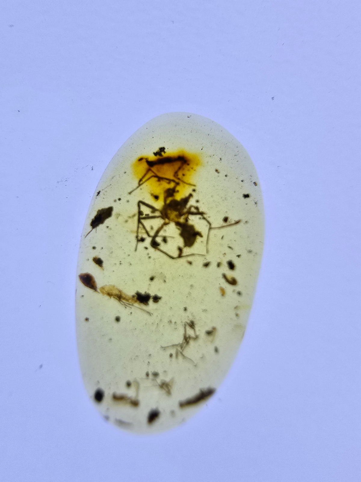 Wholesale Burmese Amber With Bugs Inclusions 40 pieces H6102303