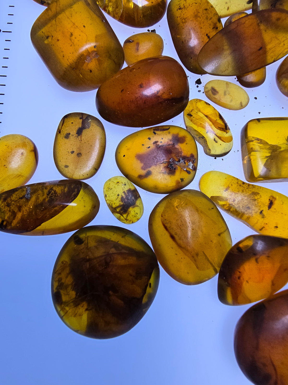 Wholesale Burmese Amber With Bugs Inclusions 61 pieces H6102302