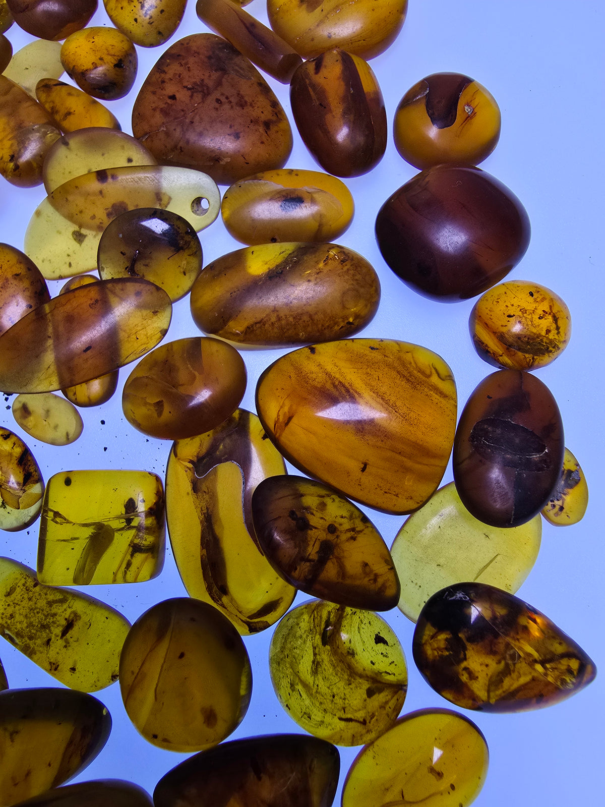Wholesale Burmese Amber With Bugs Inclusions 61 pieces H6102302