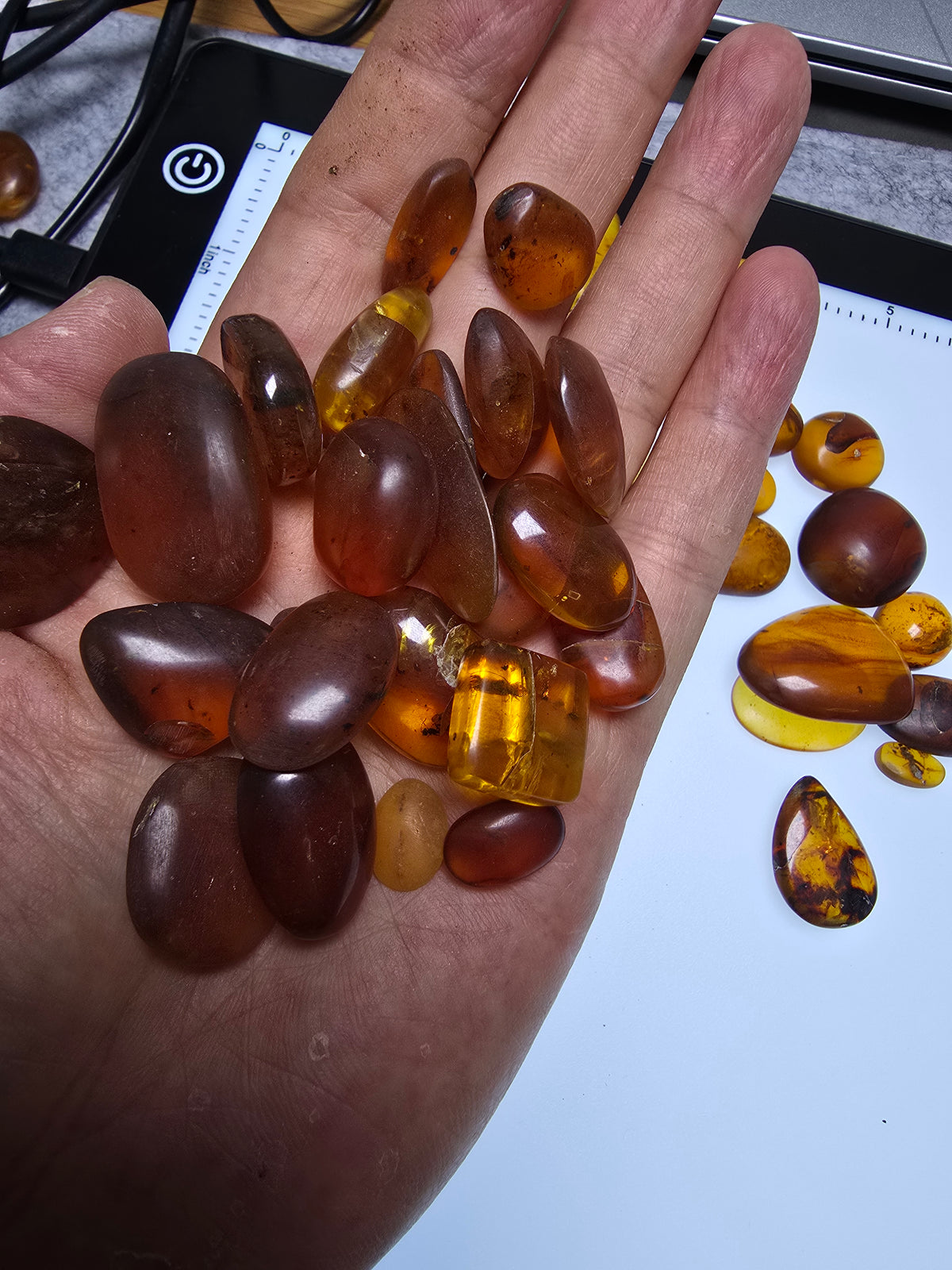 Wholesale Burmese Amber With Bugs Inclusions 61 pieces H6102302