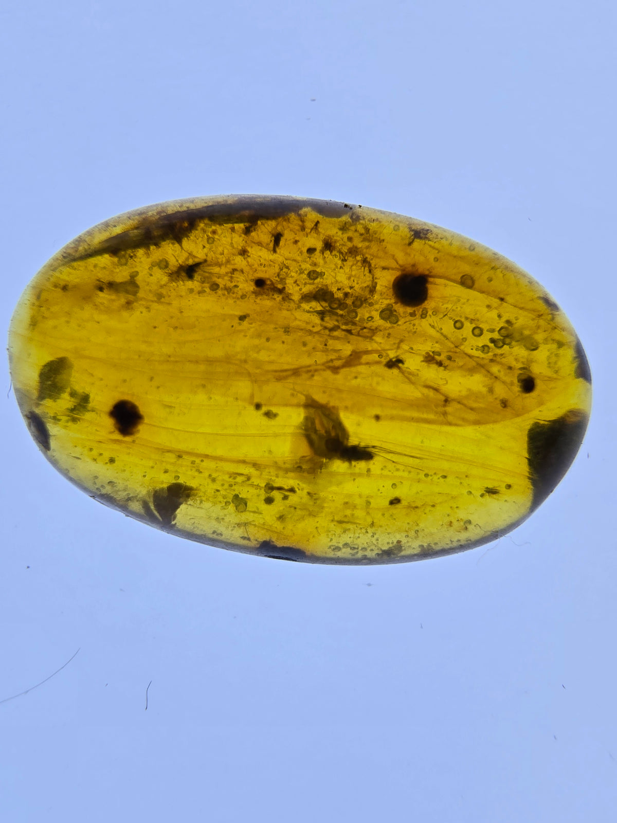 Wholesale Burmese Amber With Bugs Inclusions 61 pieces H6102302