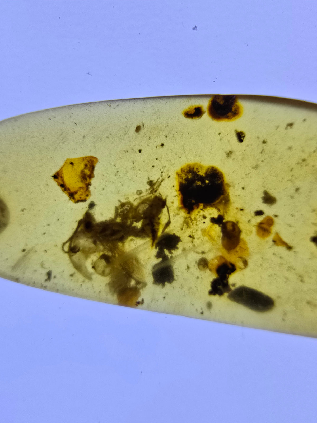 Wholesale Burmese Amber With Bugs Inclusions 61 pieces H6102302